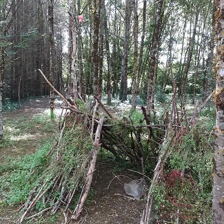 Le Petit Bois, Pres De Rocamadour, Padirac *