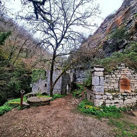 Le Petit Bois, Pres De Rocamadour, Padirac Lavergne (Lot)