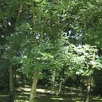 Le Petit Bois, Pres De Rocamadour, Padirac * Lavergne (Lot)
