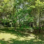 Hébergement de vacances La Le Petit Bois, Près Rocamadour, Padirac *