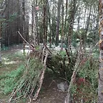 Le Petit Bois, Pres De Rocamadour, Padirac *