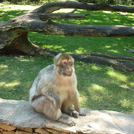 La Le Petit Bois, Pres Rocamadour, Padirac Villa *