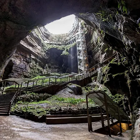 Le Petit Bois, Pres De Rocamadour, Padirac