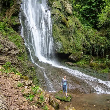 La Le Petit Bois, Près Rocamadour, Padirac Hébergement de vacances *