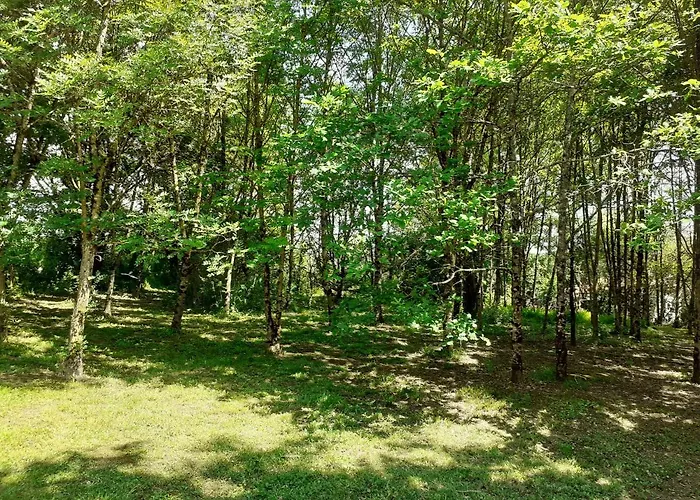 Hébergement de vacances La Le Petit Bois, Près Rocamadour, Padirac *