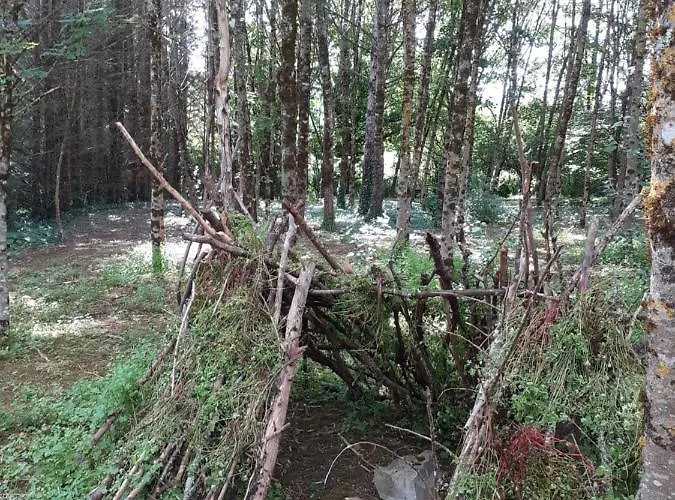 Le Petit Bois, Pres De Rocamadour, Padirac *